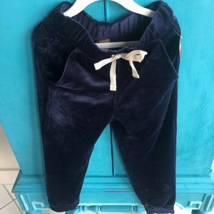 Tea Collection Velour Pants